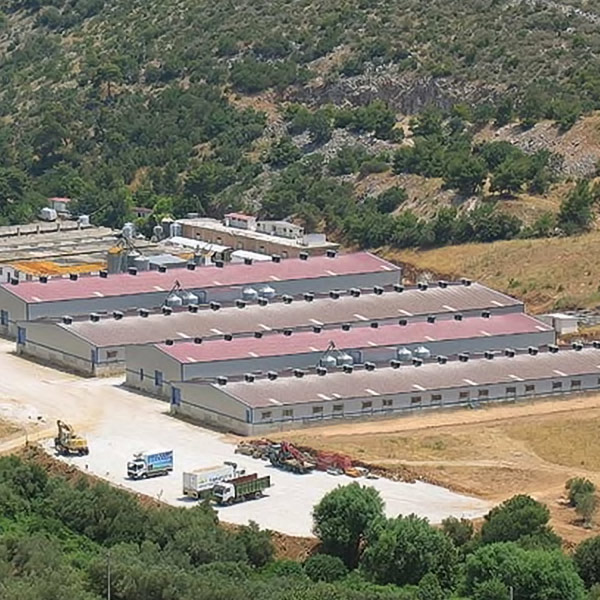 Industrial famr animal unit 12.000 m2  - Κamari Viotias, Greece